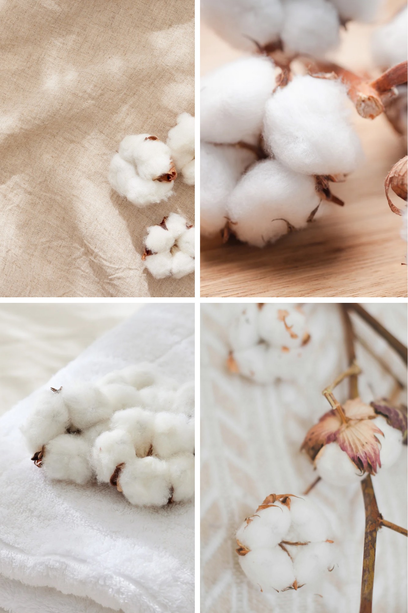 Clean Cotton - Billede 2